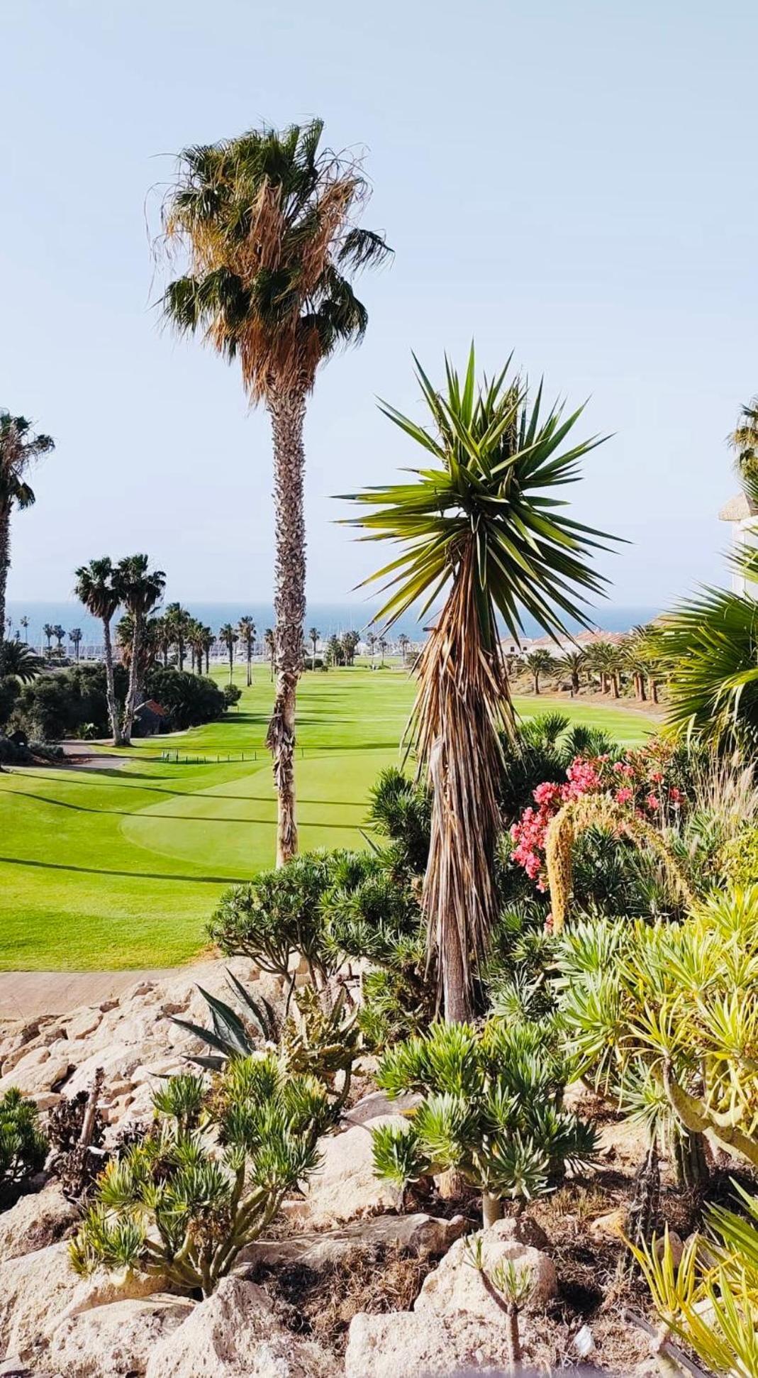 산미겔데아보나 Amarilla Golf 아파트 외부 사진
